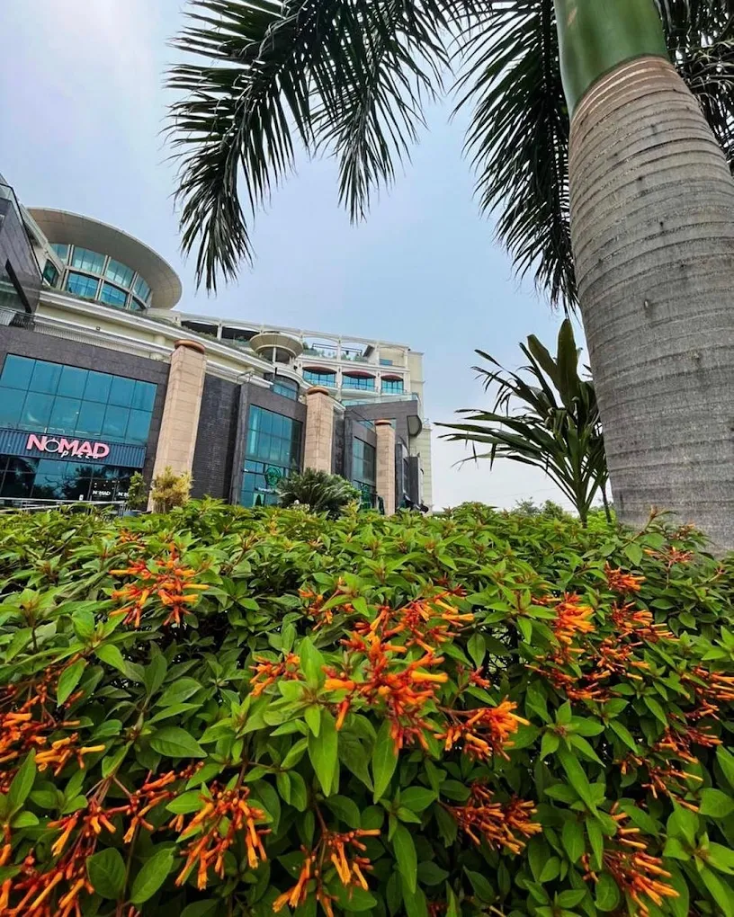 COMMONS At The BellaVista