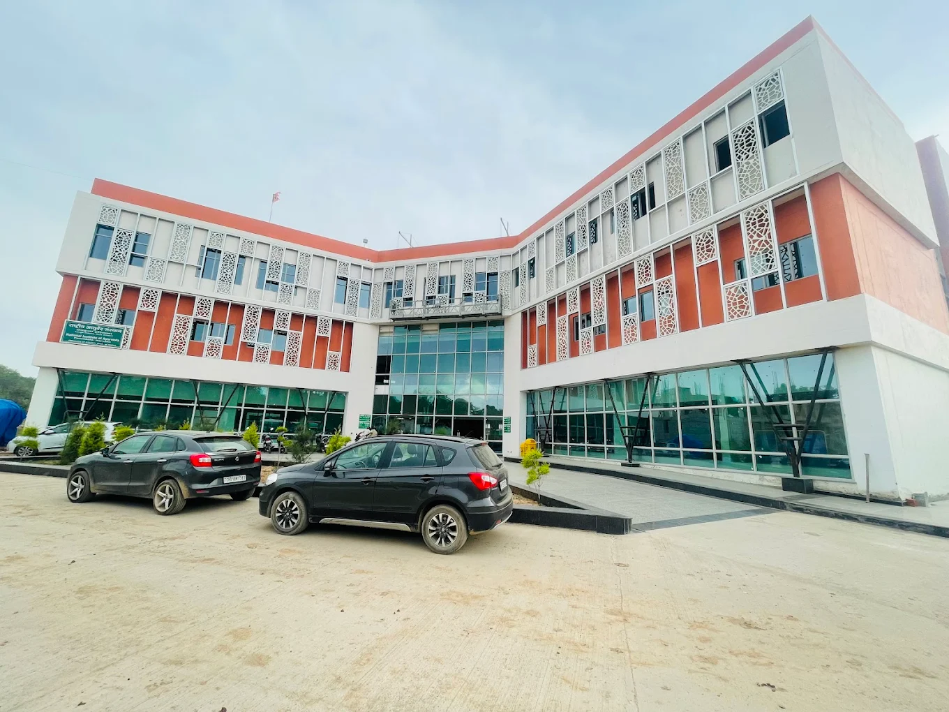 National Institute of Ayurveda, Panchkula